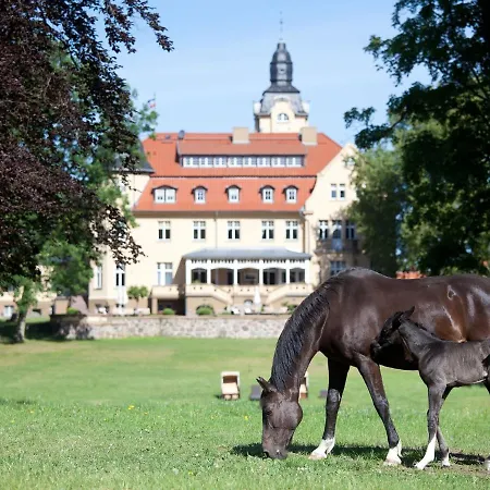 Oliver Im Bernstein Feriehus