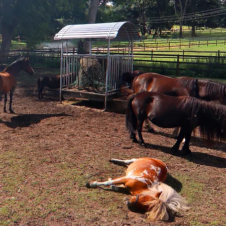 Oliver Im Bernstein Wendorf (Kuhlen-Wendorf)