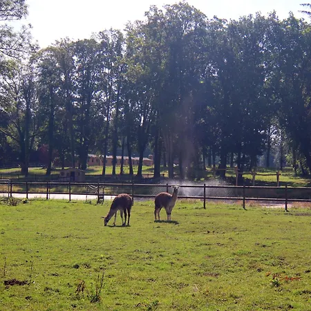 Oliver Im Bernstein * Wendorf (Kuhlen-Wendorf)