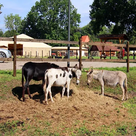 Oliver Im Bernstein Feriehus *