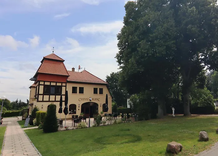 Oliver Im Bernstein